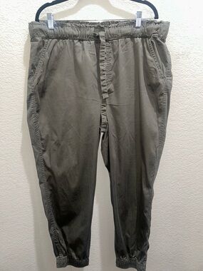 Knox Rose Olive Drawstring Jogger Pants